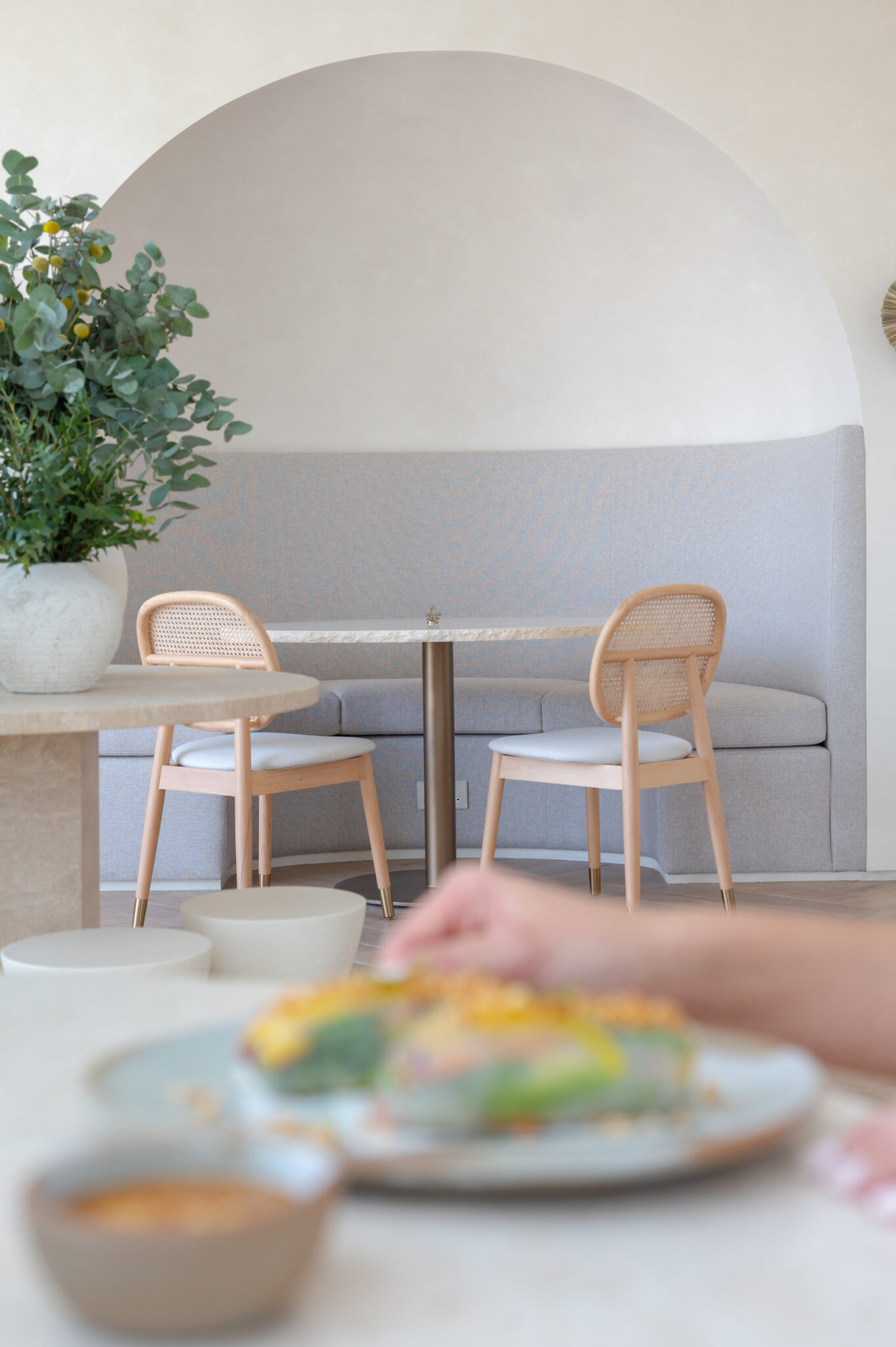 cantine – clean, green cantine